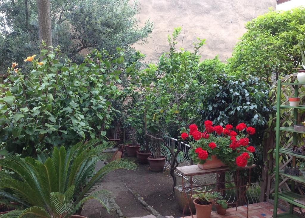 Carrer Dels Horts Διαμέρισμα Αλγκέρο Εξωτερικό φωτογραφία