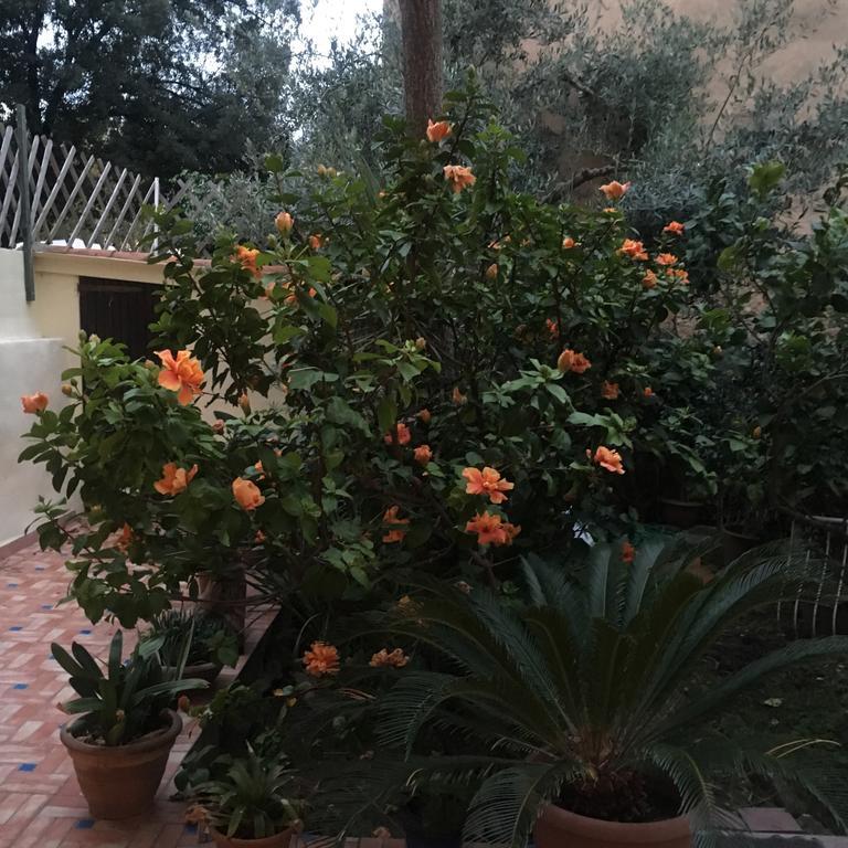 Carrer Dels Horts Διαμέρισμα Αλγκέρο Εξωτερικό φωτογραφία